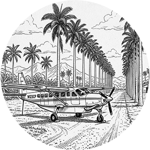 Small plane parked on a palm tree-lined dirt runway.