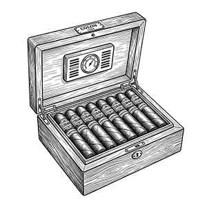 Line drawing of an open wooden humidor filled with cigars.