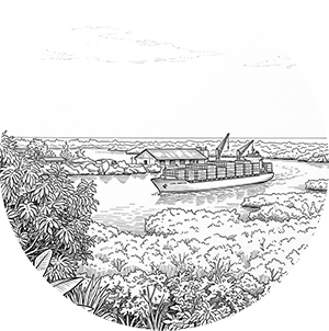 Black and white sketch of cargo ship on tropical river.